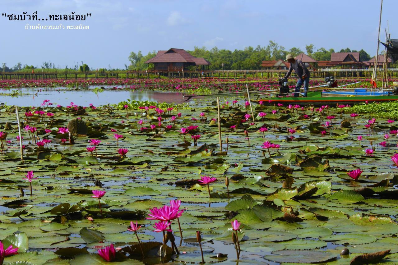 Banpak Suankaew Talaynoi Hotell Phatthalung Eksteriør bilde